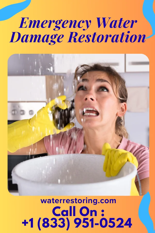 Emergency Water Damage Restoration in Boyceville, WI